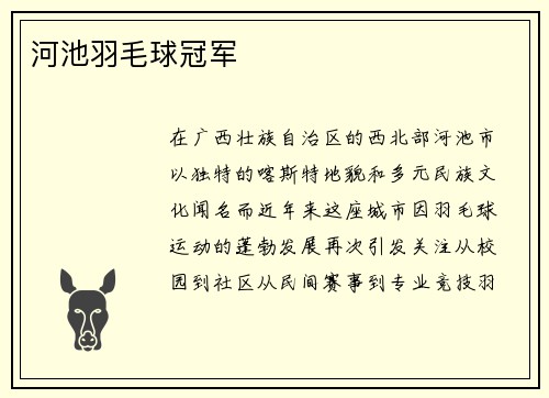 河池羽毛球冠军