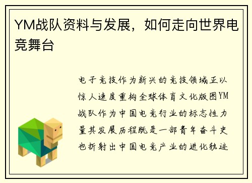 YM战队资料与发展，如何走向世界电竞舞台