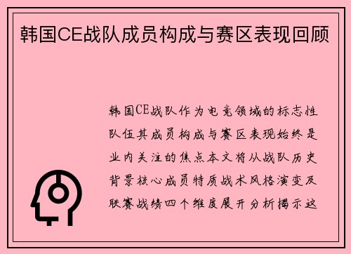 韩国CE战队成员构成与赛区表现回顾
